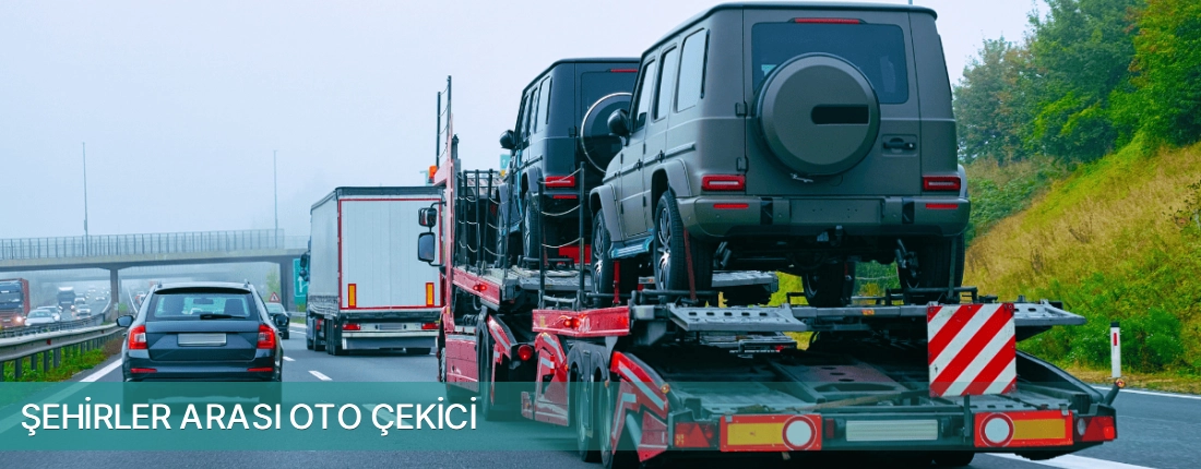 Menemen İlçemi Şehirler Arası Oto Çekici